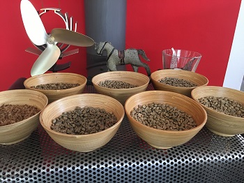 Foto vieler unterschiedlicher Kaffeebohnen